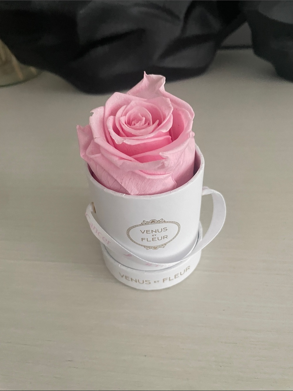 Venus et fleur Pink Preserved Rose - Elegant Gift Floral
